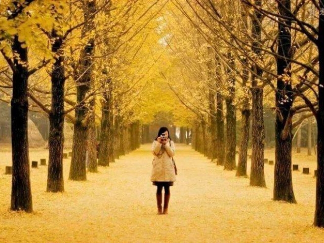 TOUR DU LỊCH HÀN QUỐC 5 NGÀY 4 ĐÊM: SEOUL - NAMI